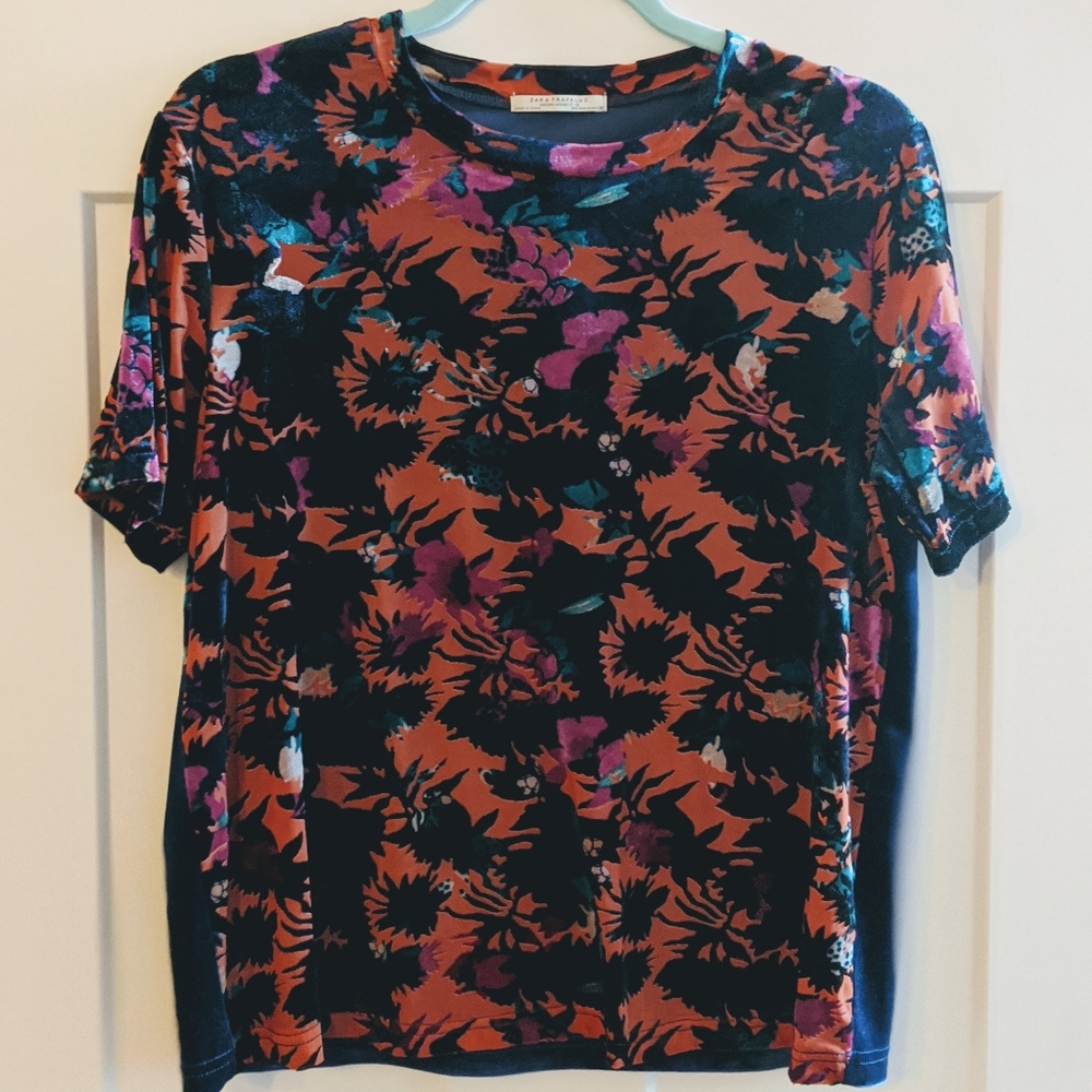 Zara Trafuluc Velour Top